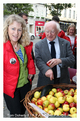 Michael D Higgins Nenagh 11